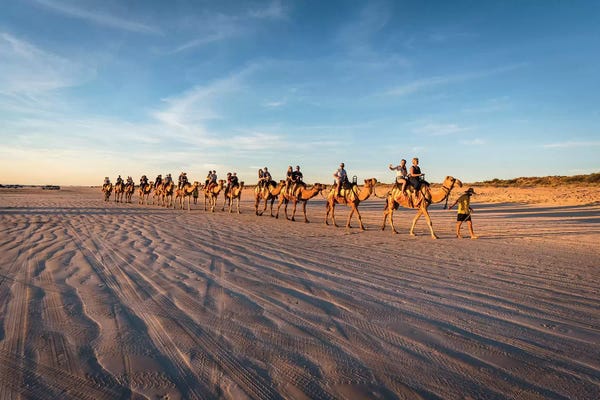 James Vodicka: Cable Beach Sunset Camels by James Vodicka