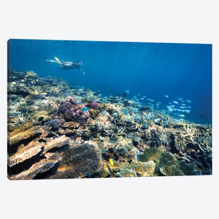 Underwater Reef with Snorkelling Girl Canvas Print #JVO221} by James Vodicka Canvas Art Print