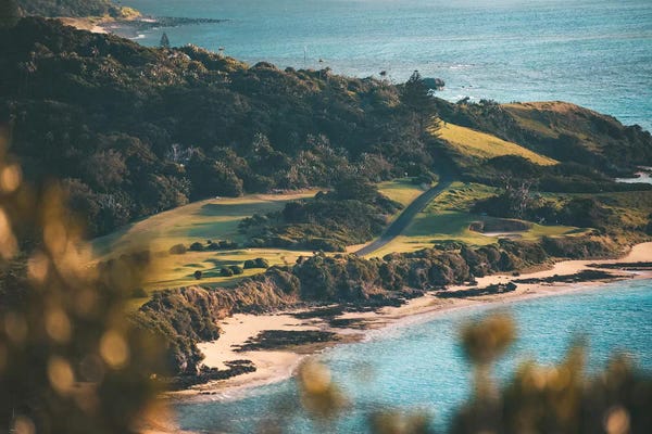 James Vodicka: Coastal Road on Lord Howe Island by James Vodicka