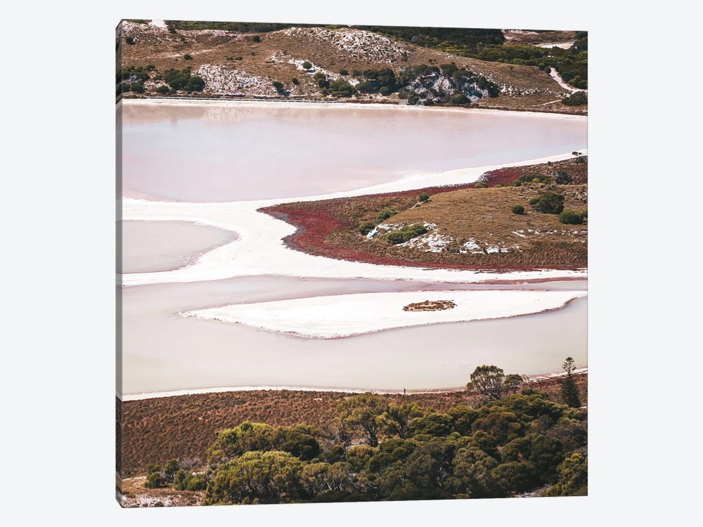 Abstract Pink Salt Lakes Aerial by James Vodicka 1-piece Canvas Wall Art
