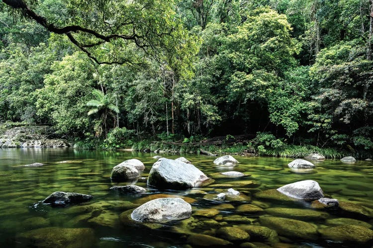 Daintree Rainforest Calm River Landscape