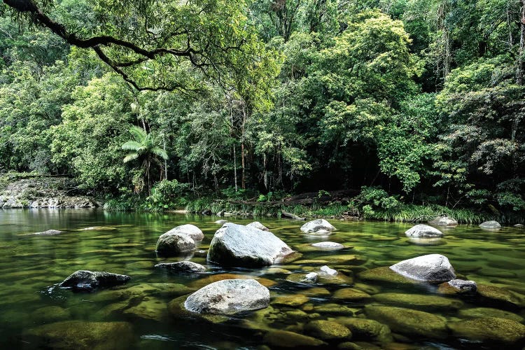 Daintree Rainforest Calm River Landscape by James Vodicka wall art