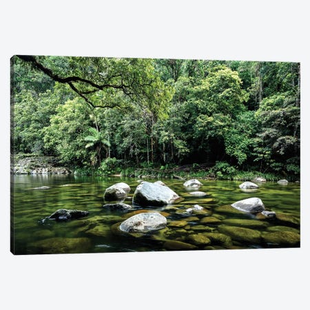 Daintree Rainforest Calm River Landscape Canvas Print #JVO33} by James Vodicka Art Print