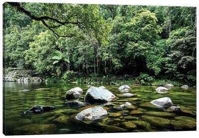 Daintree Rainforest Calm River Landscape Canvas Art Print - James Vodicka