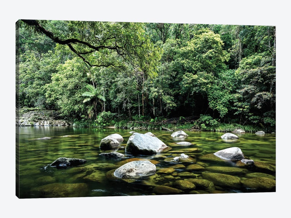 Daintree Rainforest Calm River Landscape by James Vodicka 1-piece Canvas Print