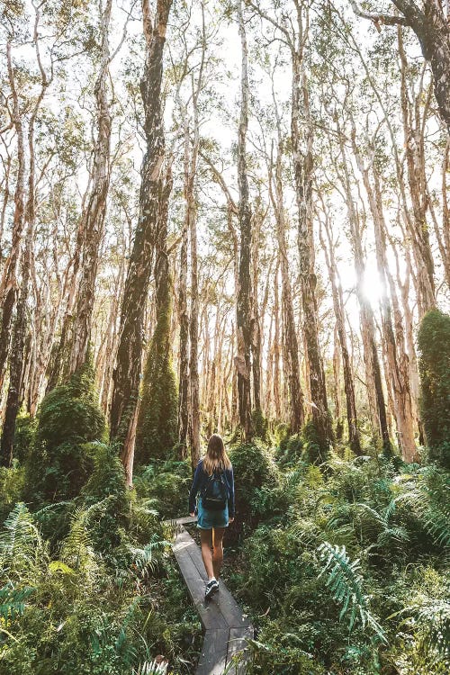 Girl Forest Bush Boardwalk