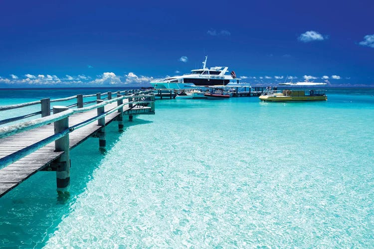 Heron Island Jetty with Ferry by James Vodicka wall art