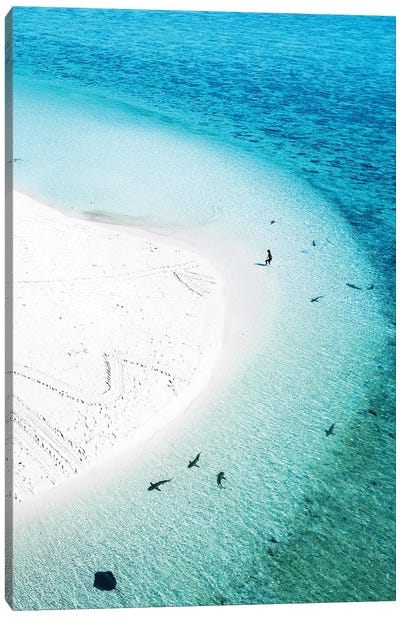 Aerial Island Landscape Beach Sharks Swimmer Canvas Art Print - Shark Art