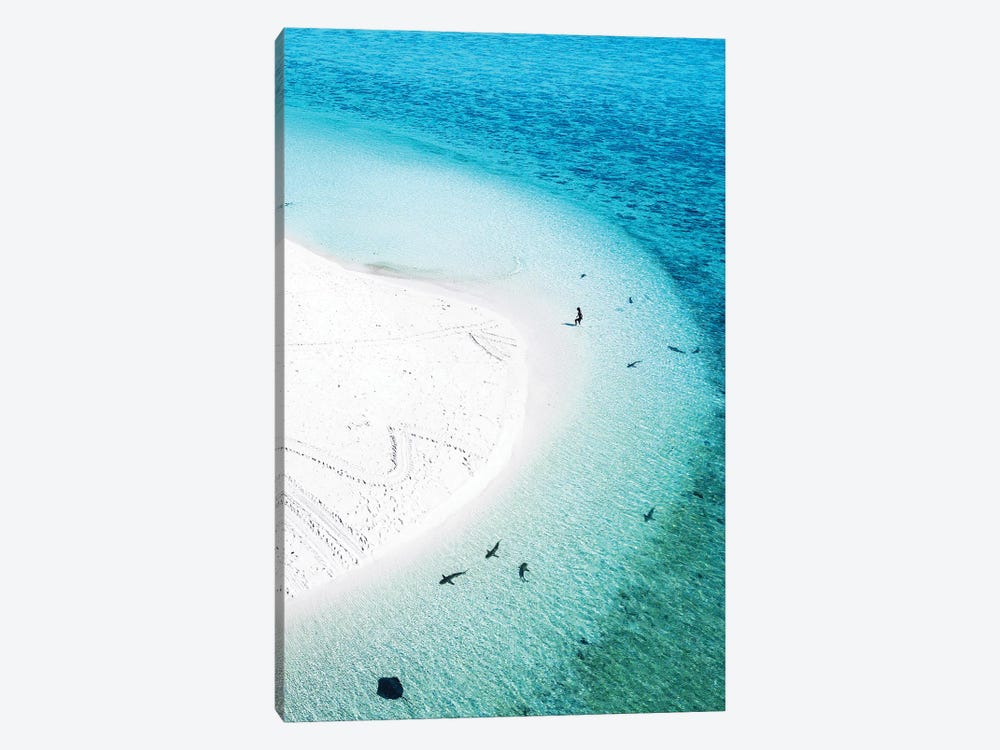 Aerial Island Landscape Beach Sharks Swimmer by James Vodicka 1-piece Canvas Wall Art