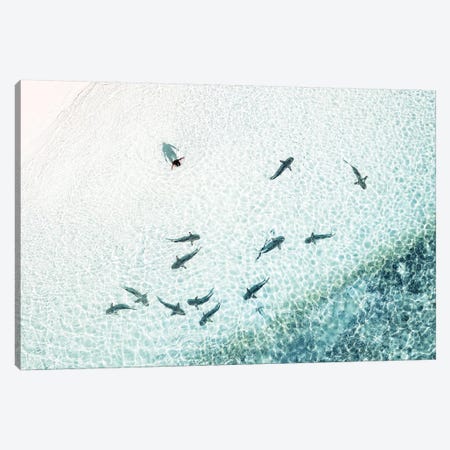 Aerial Shoreline Sharks with Swimmer Canvas Print #JVO5} by James Vodicka Art Print