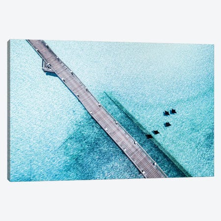 Island Jetty Aerial with Eagle Rays Canvas Print #JVO67} by James Vodicka Canvas Art Print