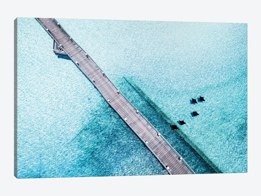 Island Jetty Aerial with Eagle Rays by James Vodicka 1-piece Canvas Wall Art