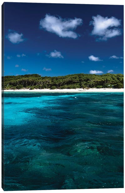 Australian Island Blue Water Canvas Art Print - James Vodicka
