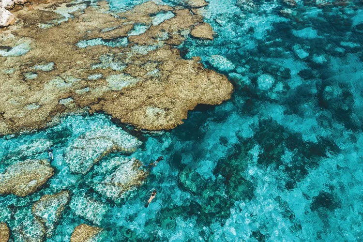 Little Armstrong Bay Reef Snorkeller Aerial