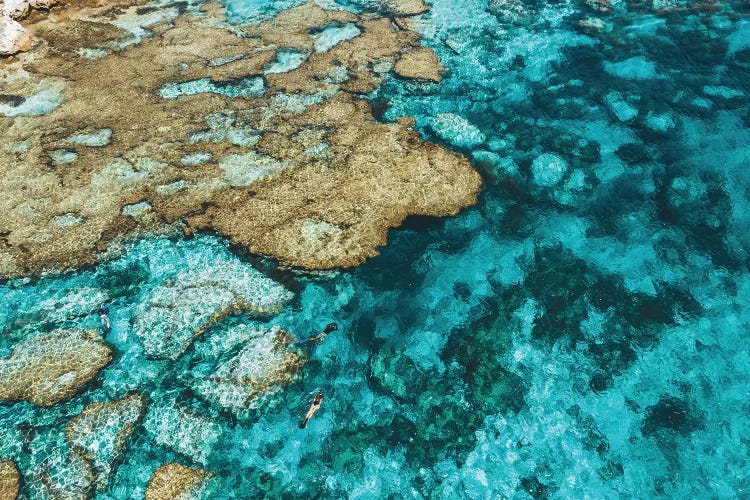 Little Armstrong Bay Reef Snorkeller Aerial by James Vodicka wall art