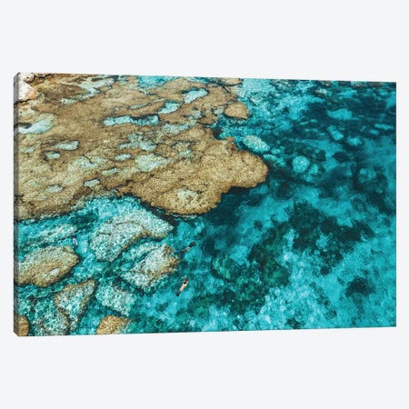 Little Armstrong Bay Reef Snorkeller Aerial Canvas Print #JVO85} by James Vodicka Art Print