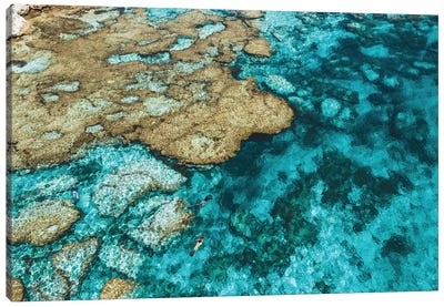 Little Armstrong Bay Reef Snorkeller Aerial Canvas Art Print