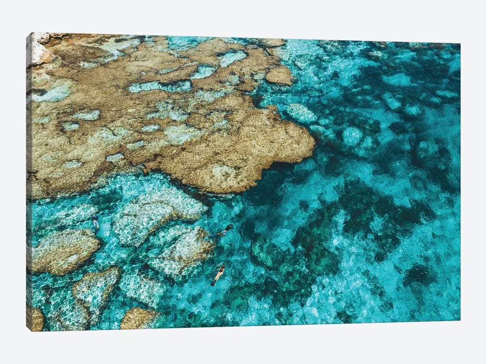 Little Armstrong Bay Reef Snorkeller Aerial by James Vodicka 1-piece Canvas Art