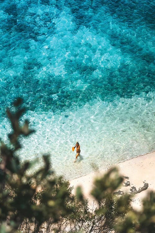 Lone Bikini Swimmer On Tropical Beach