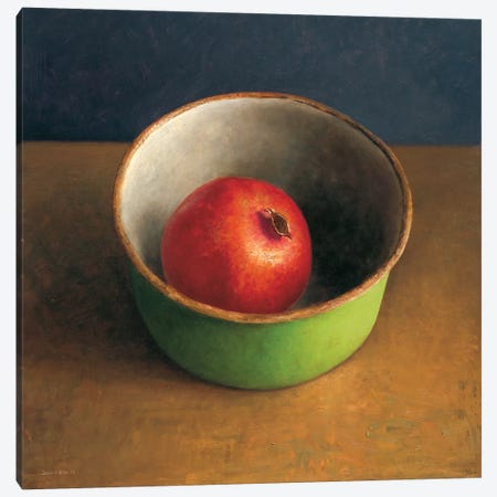 Green Bowl II Canvas Print #JVR3} by Jos van Riswick Canvas Art