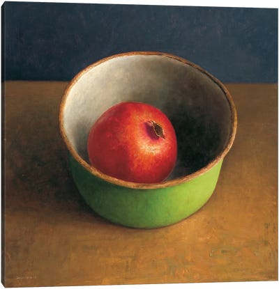 Green Bowl II Canvas Art Print - Pomegranate Art