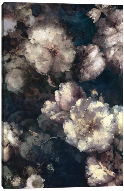 Botanical Dreams Canvas Art Print - Jackie Von Tobel