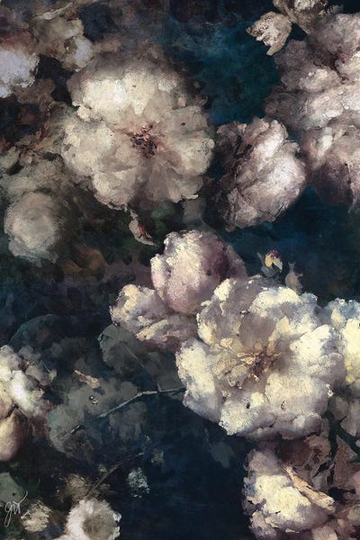 Abstract: Botanical Dreams by Jackie Von Tobel