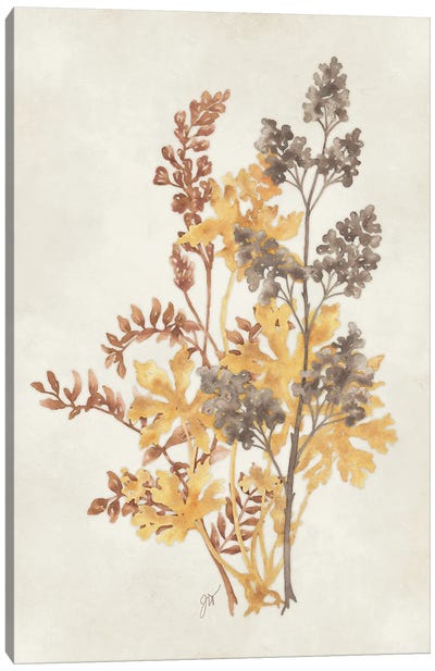 Botanical Silhouette III Canvas Art Print - Herb Art