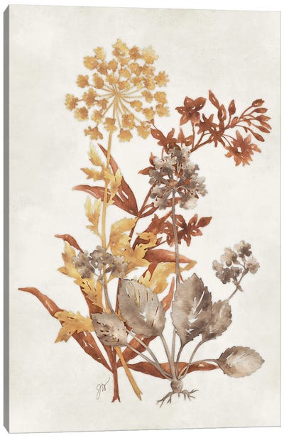 Botanical Silhouette IV Canvas Art Print - Herb Art