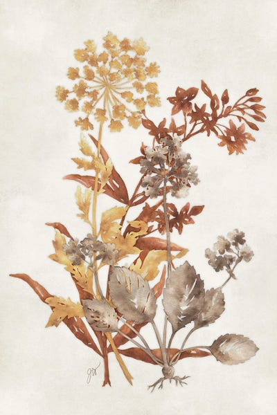 Botanical Silhouette IV