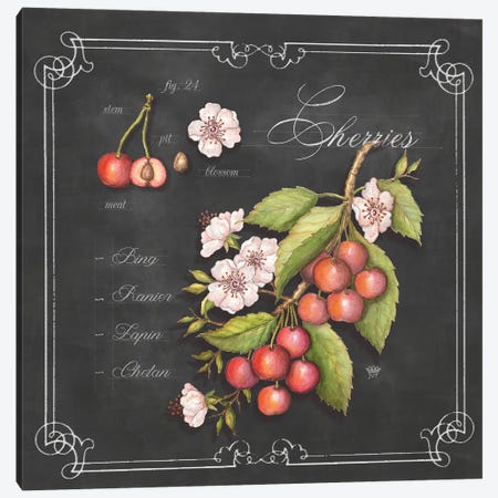 Cherries Canvas Print #JVT23} by Jackie Von Tobel Canvas Art Print