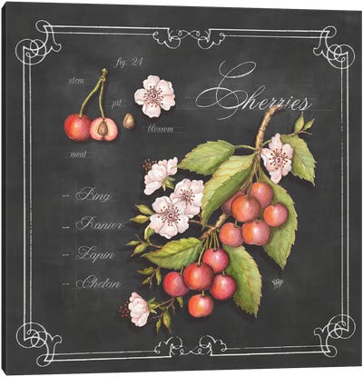 Cherries Canvas Art Print - Jackie Von Tobel