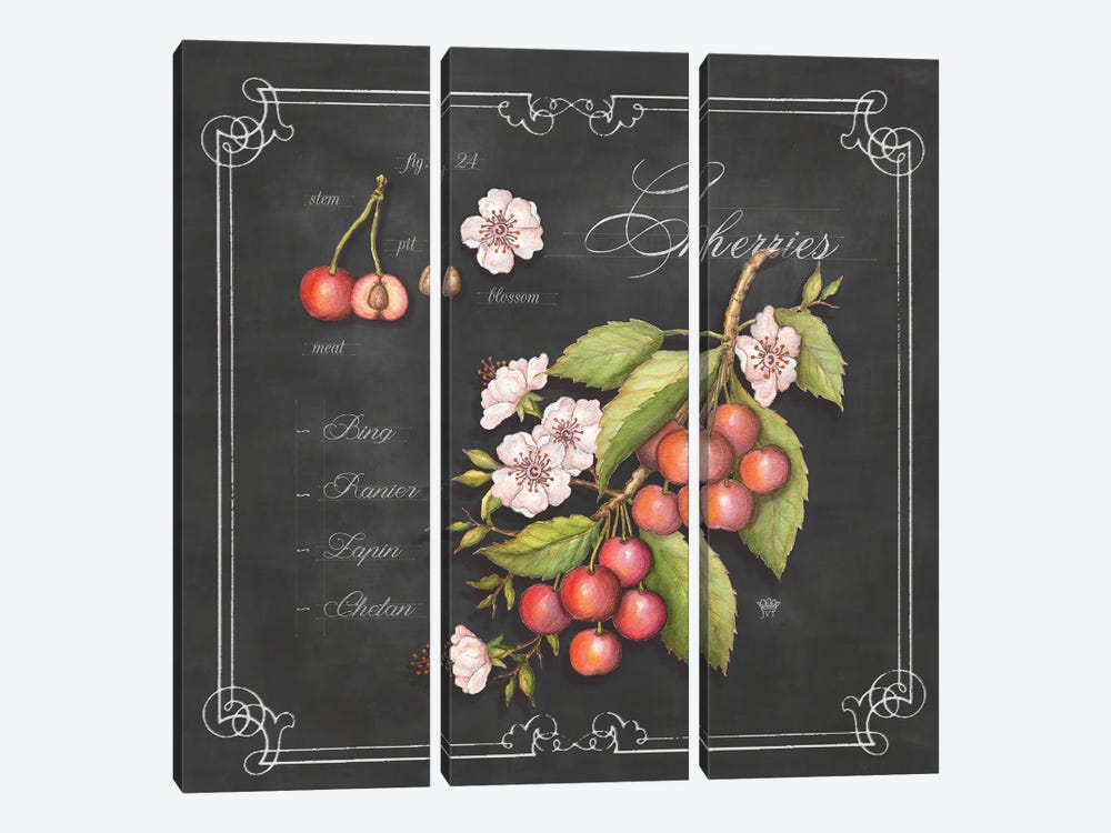 Cherries by Jackie Von Tobel 3-piece Canvas Art