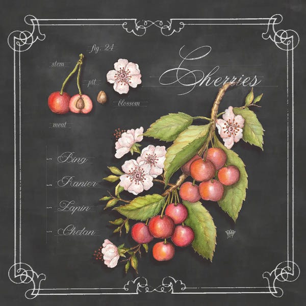 Large Art for Kitchen - Canvas Prints: Cherries by Jackie Von Tobel