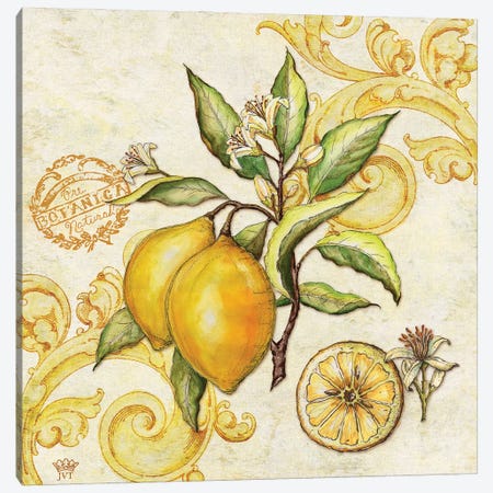 Farmers Market Lemon Canvas Print #JVT32} by Jackie Von Tobel Canvas Artwork