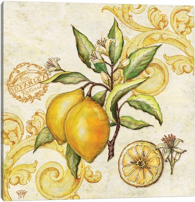 Farmers Market Lemon Canvas Art Print - Lemon & Lime Art