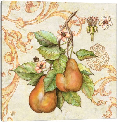Farmers Market Pears Canvas Art Print - Pear Art