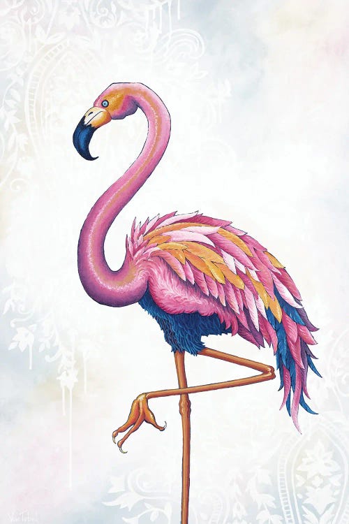 Flamingo