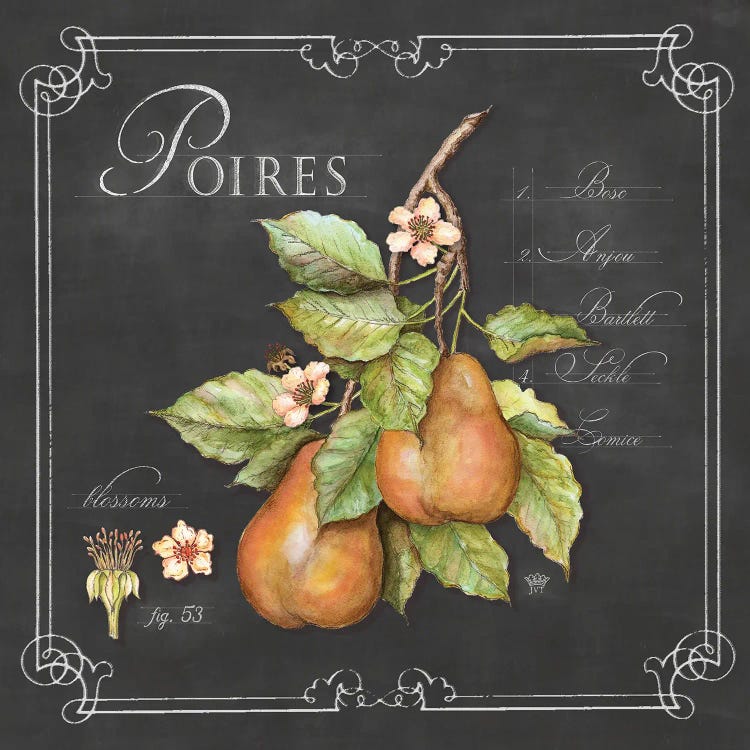 Poires by Jackie Von Tobel canvas print
