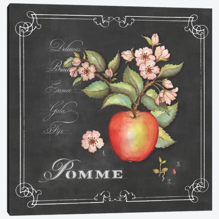 Pomme Canvas Print #JVT51} by Jackie Von Tobel Canvas Wall Art