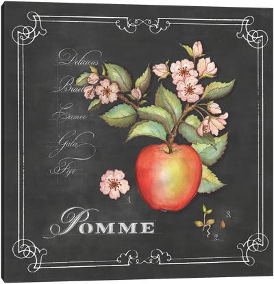 Pomme Canvas Art Print - Apple Art