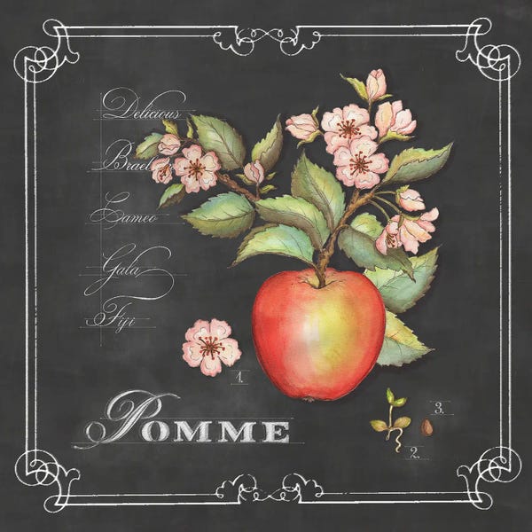 Kitchen: Pomme by Jackie Von Tobel