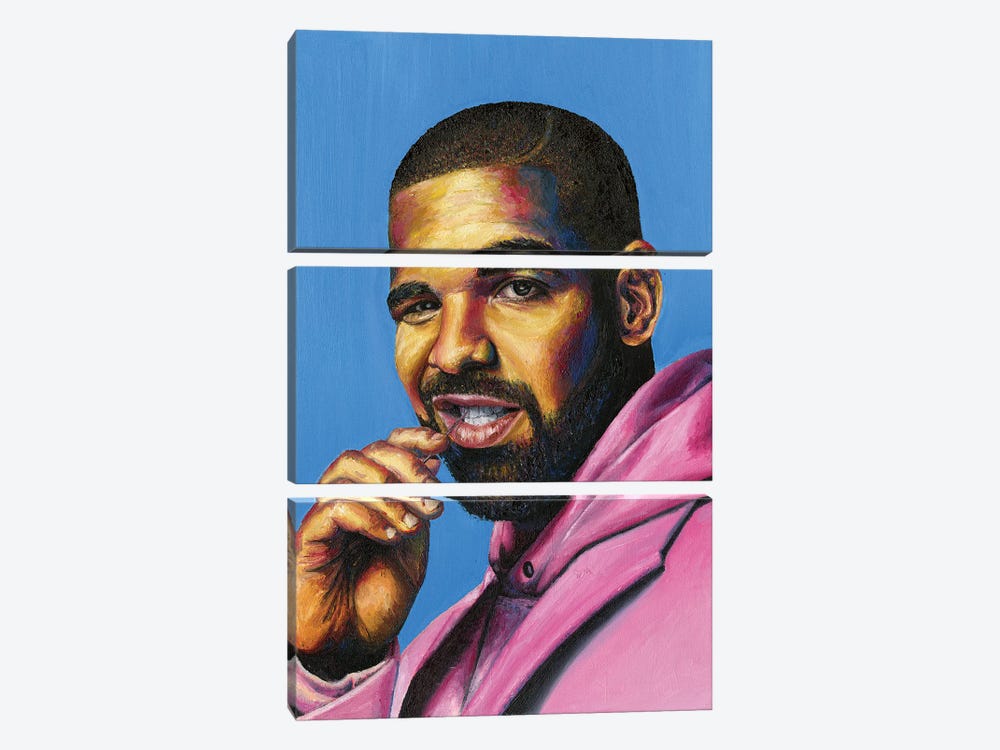 Drake by Jenavieve Louie 3-piece Canvas Artwork