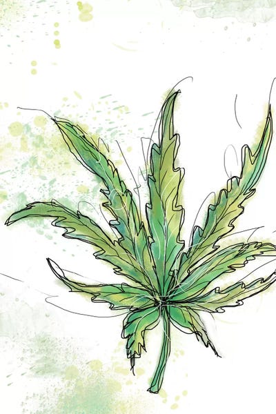 Maui Sunset by Jan Weiss framed canvas print