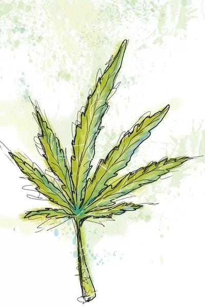 Northern Lights by Jan Weiss framed wall art