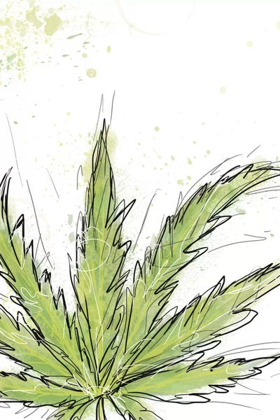 Marijuana: Train Wreck by Jan Weiss