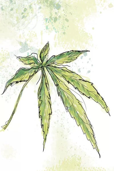 Marijuana: Blue Dream by Jan Weiss