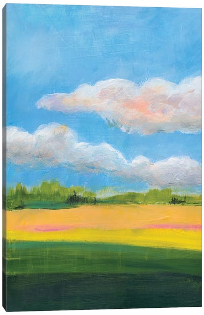 Beneath a Cloudy Sky I Canvas Art Print - Jan Weiss