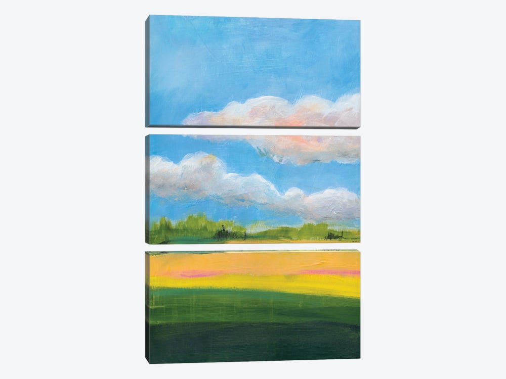Beneath a Cloudy Sky I by Jan Weiss 3-piece Canvas Wall Art