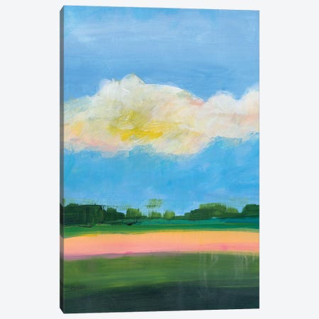 Beneath a Cloudy Sky II Canvas Print #JWE55} by Jan Weiss Art Print